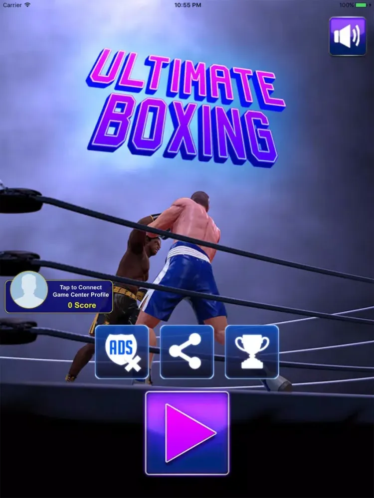 Ultimate Boxing iPad  Screenshots