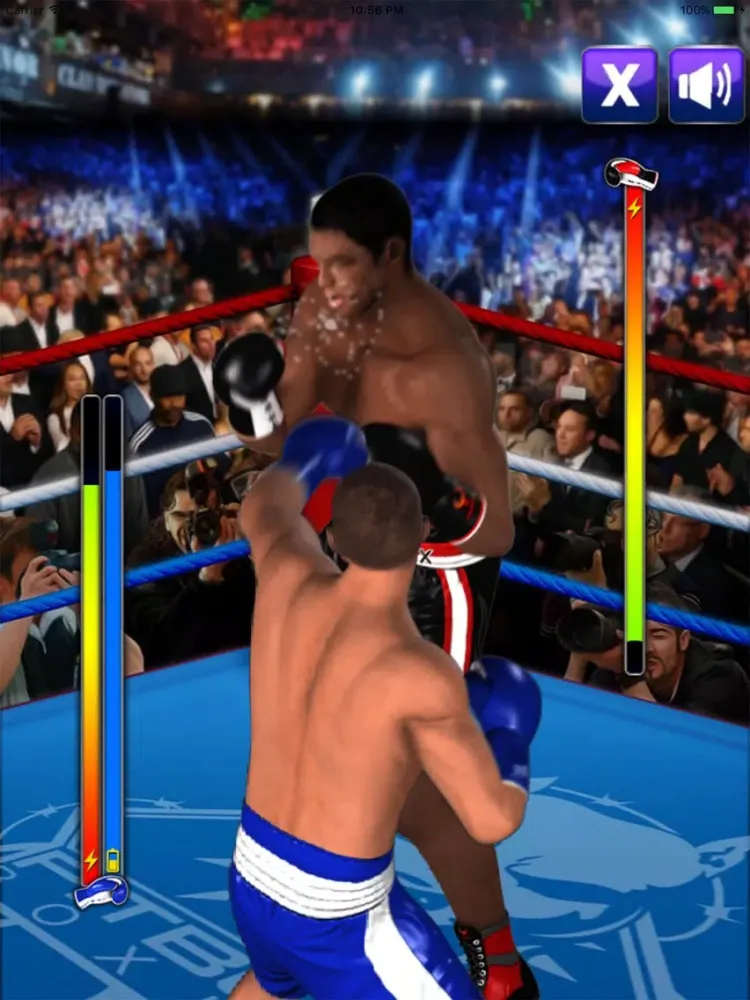 Ultimate Boxing iPad  Screenshots