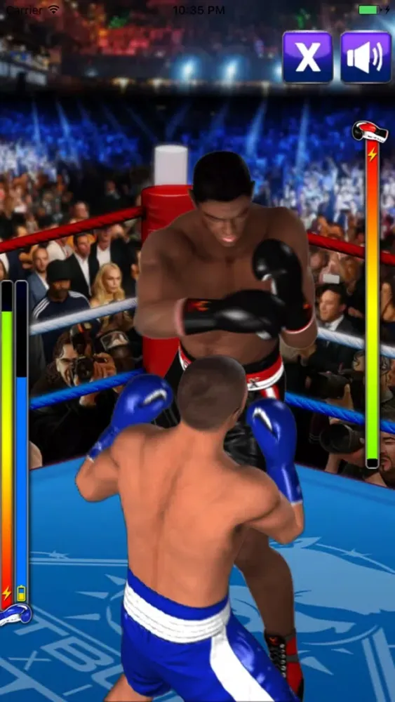 Ultimate Boxing Screenshots
