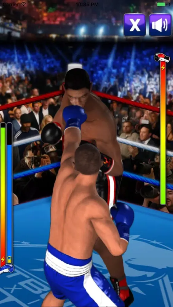 Ultimate Boxing Screenshots