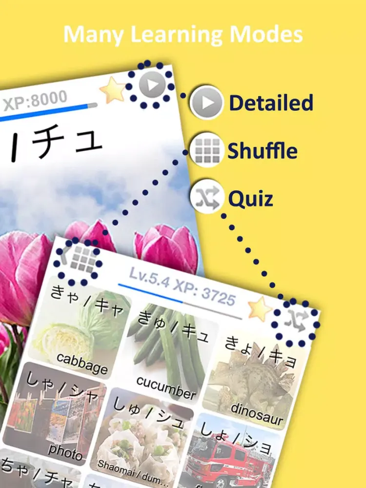 LETS Learn Hiragana & Katakana iPad  スクリーンショット