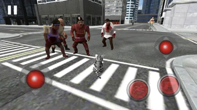 Neko Simulator NekoZ應用截圖