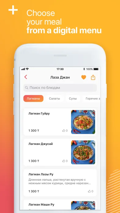 Captures d'écran de Nashe Menu