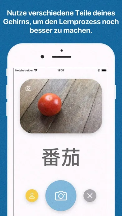 Chinesisch lernen für Anfänger应用截图