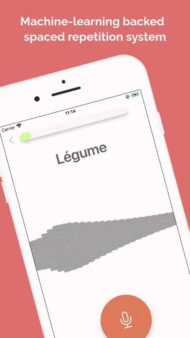 Learn French at Home 스크린샷