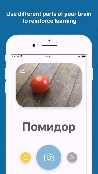 Russian for Absolute Beginners স্ক্রিনশট
