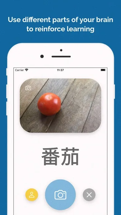 Tangkapan skrin Mandarin Chinese from Scratch