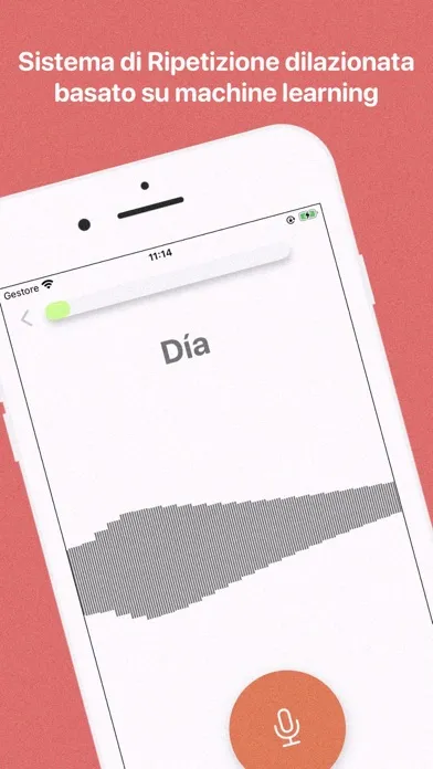 Impara lo spagnolo da zero应用截图
