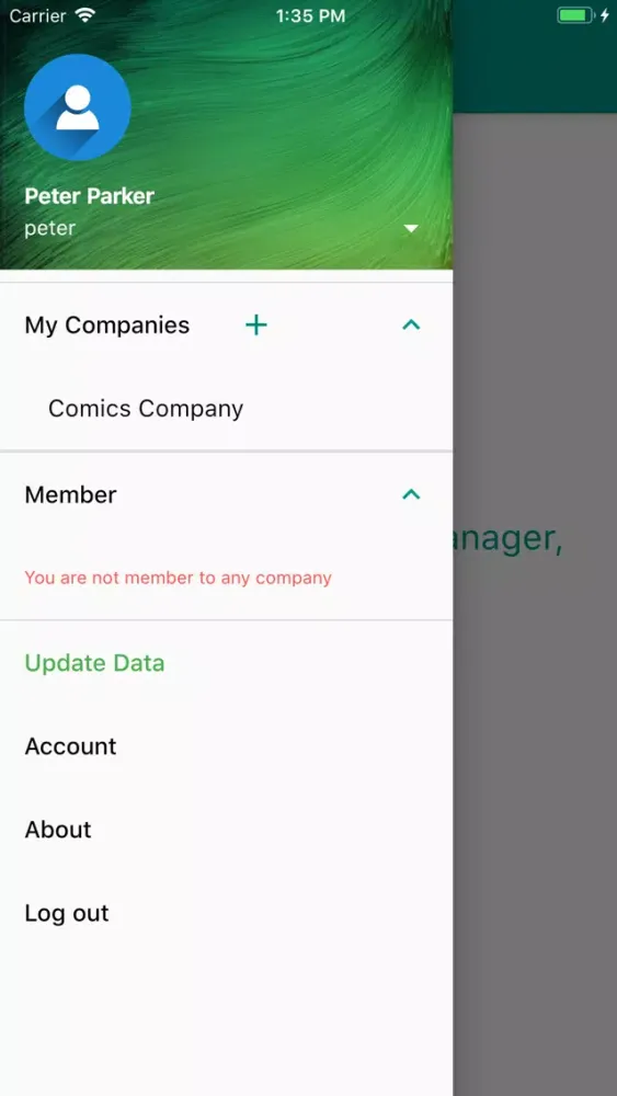 Finance Manager Online Ekran Görüntüleri