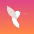 Colibri Zakupki Colibri Zakupki