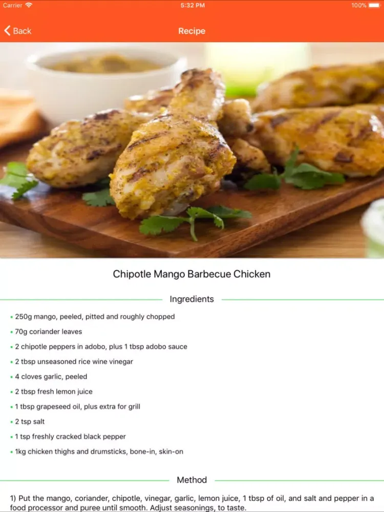 BBQ Barbecue Recipes iPad  Ekran Görüntüleri