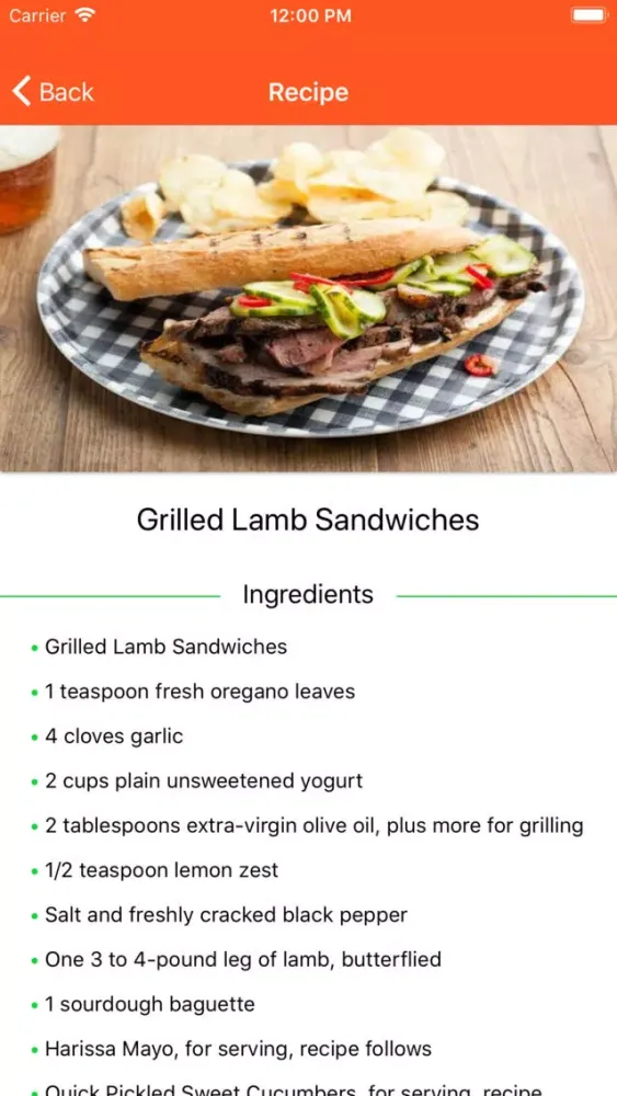 BBQ Barbecue Recipes Ekran Görüntüleri
