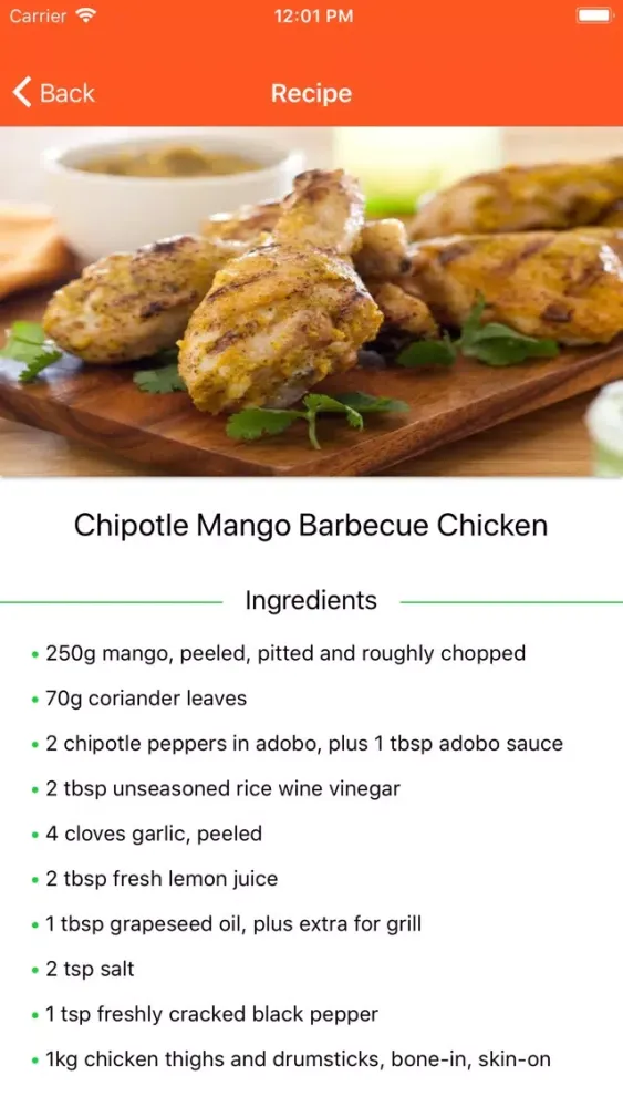 BBQ Barbecue Recipes Ekran Görüntüleri