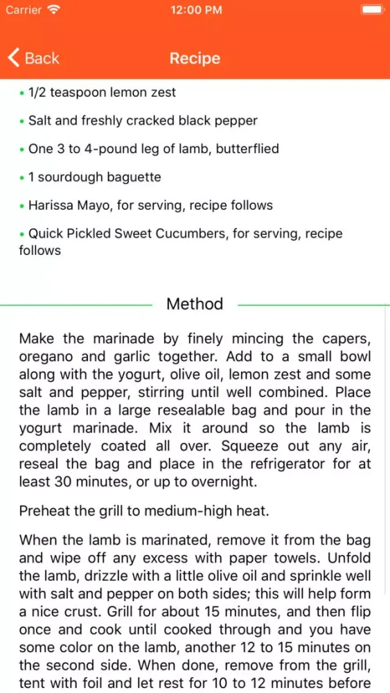 BBQ Barbecue Recipes Ekran Görüntüleri
