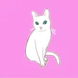 Cute Pussycat!