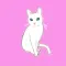 Cute Pussycat!