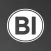BI Group Partners