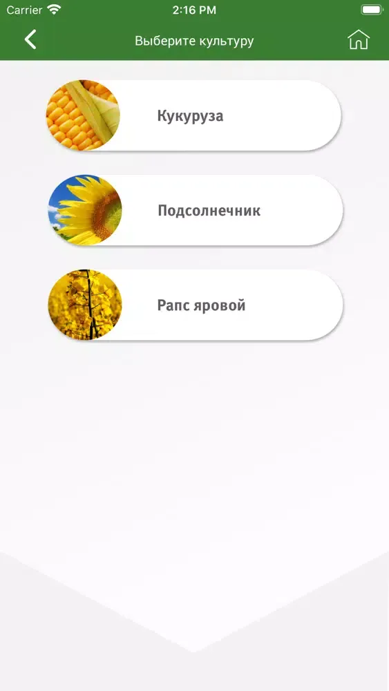 Tangkapan layar Каталог Pioneer Kazakhstan