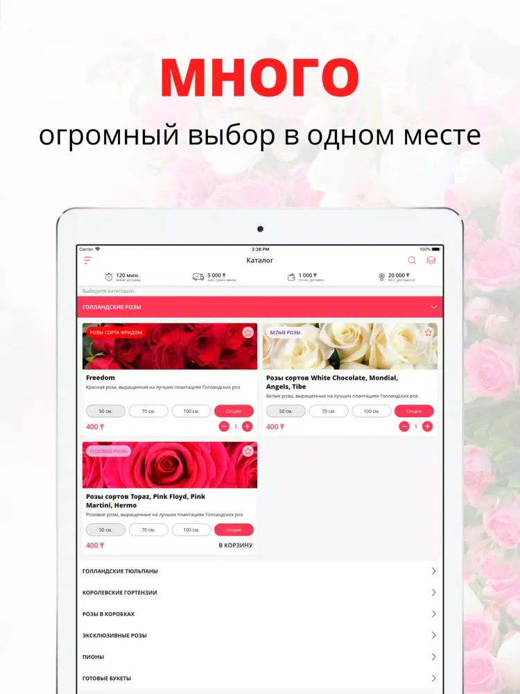 Rilak Kazakhstan | Алма-Ата iPad  سکرین شاٹس