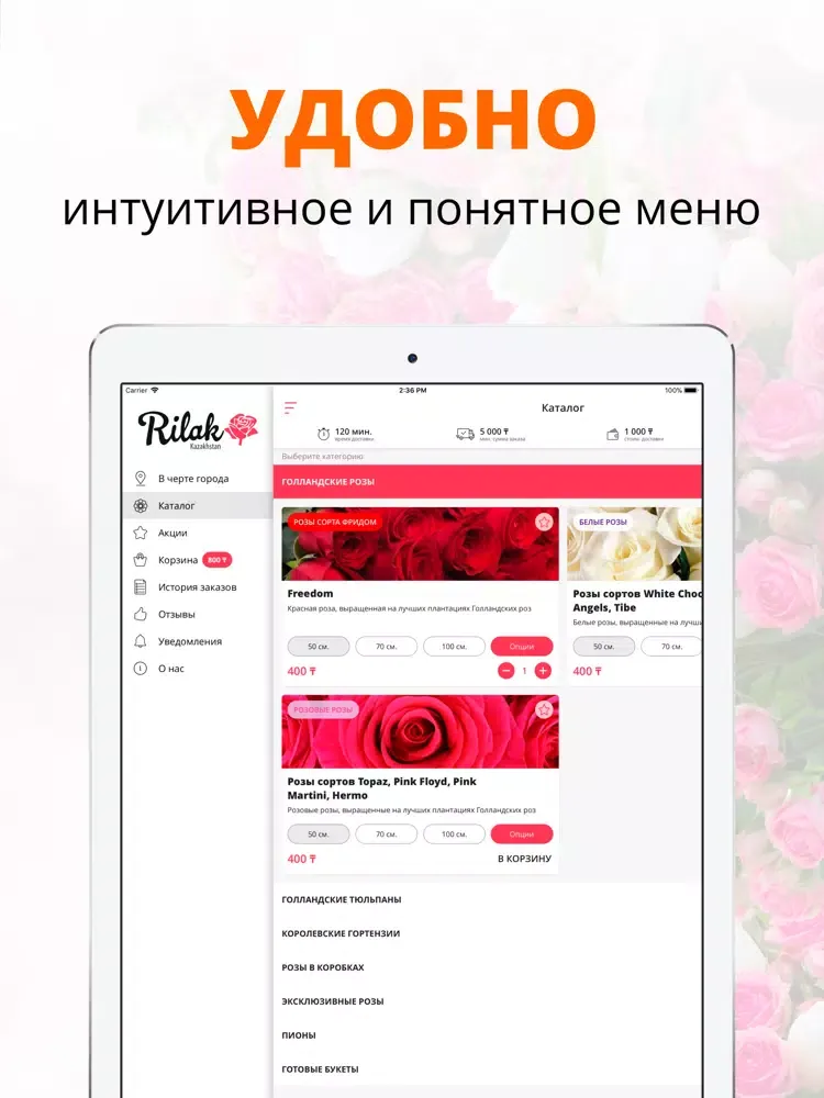 Rilak Kazakhstan | Алма-Ата iPad  سکرین شاٹس