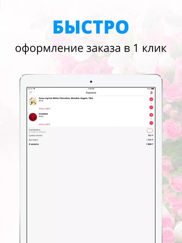 Rilak Kazakhstan | Алма-Ата iPad  سکرین شاٹس