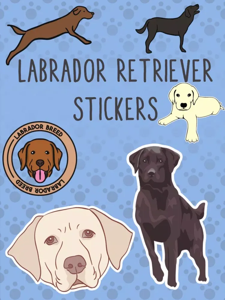 Labrador Retriever Stickers iPad  스크린샷