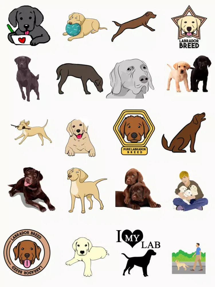 Labrador Retriever Stickers iPad  스크린샷