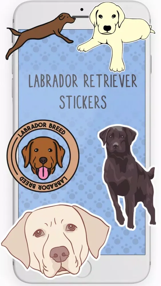 Labrador Retriever Stickers 스크린샷