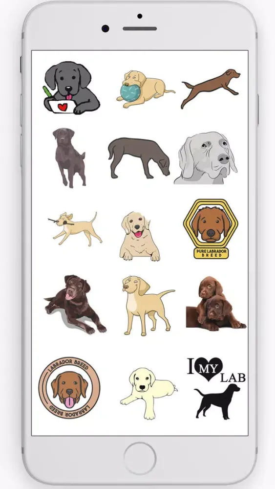 Labrador Retriever Stickers 스크린샷