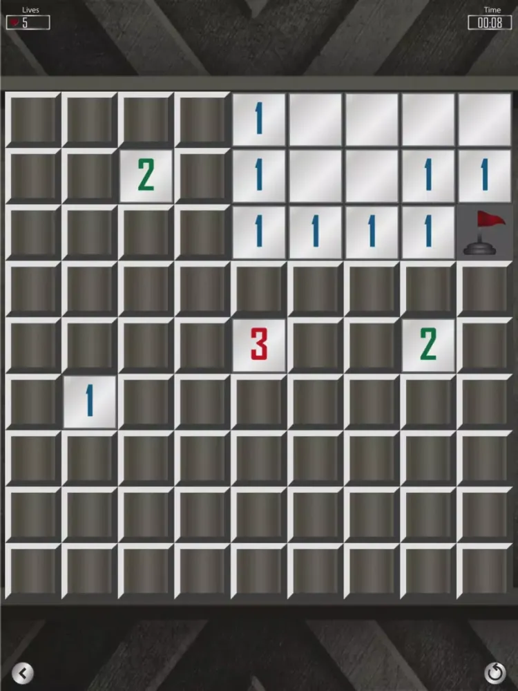 Minesweeper Professional Mines iPad  Ekran Görüntüleri