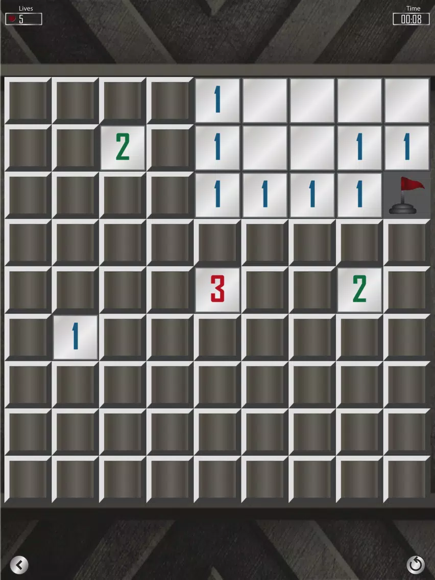 Minesweeper Professional Mines - Classic iPad 应用截图