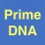 Prime DNA