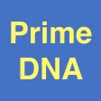 Prime DNA Prime DNA