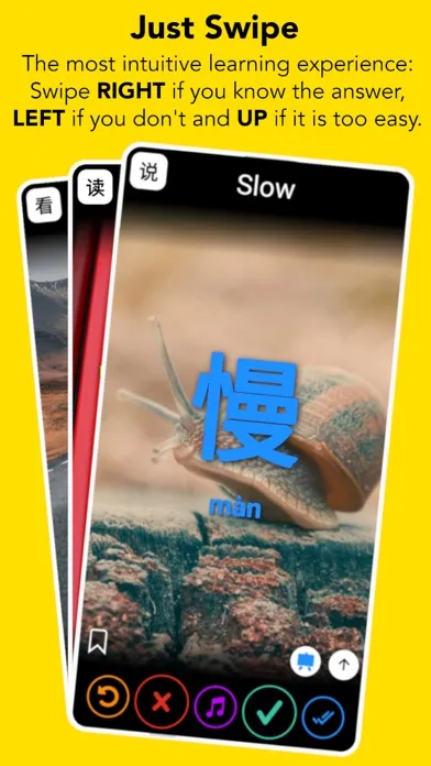 Captures d'écran de Ginkgo: Learn Chinese Mandarin