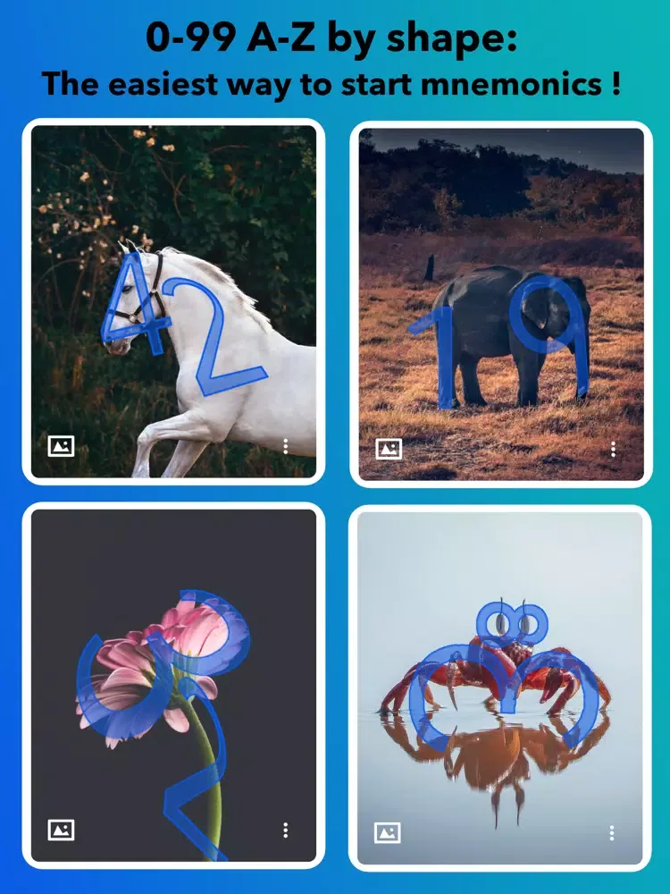 Memory & Numbers iPad  স্ক্রিনশট