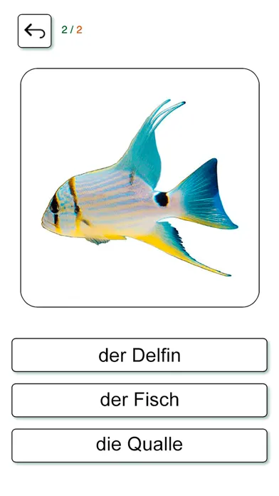 Learn and play German +应用截图