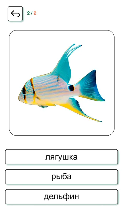 Tangkapan layar Learn and play Russian +