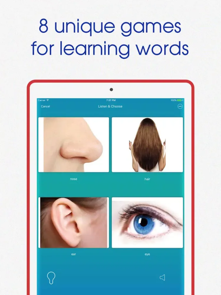 Offline Learn Italian language iPad 应用截图
