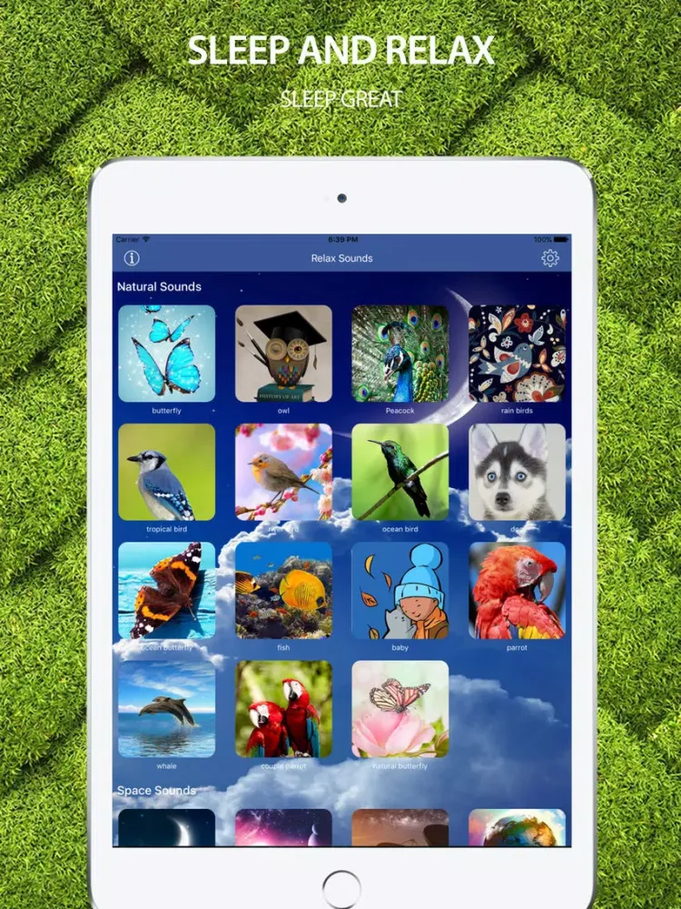 Screenshot di Sleep Sounds: Melodies of life, relax sounds iPad 