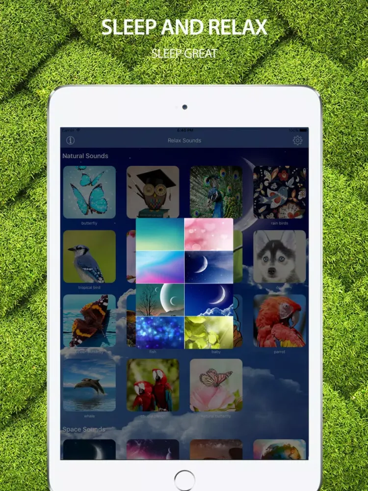 Screenshot di Sleep Sounds: Melodies of life, relax sounds iPad 