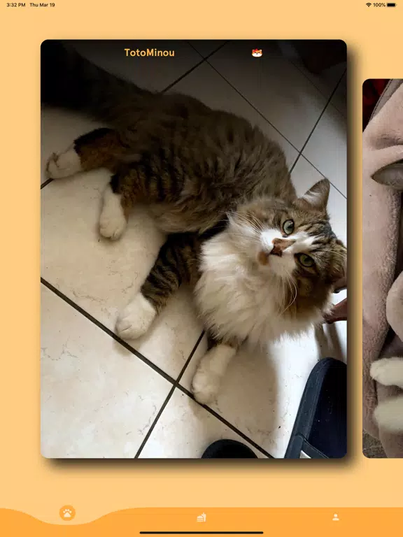 La Mifa des Chats iPad 應用截圖