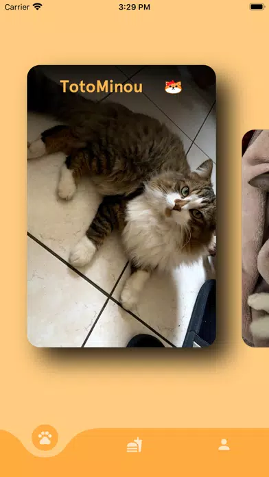 La Mifa des Chats應用截圖