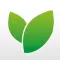 Leaf Area