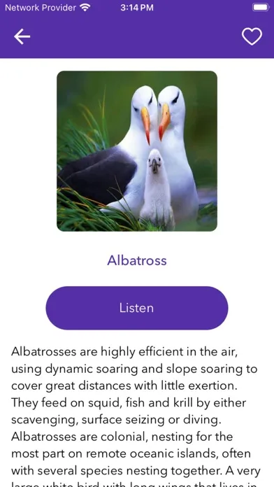 Visual English Dictionary Screenshots