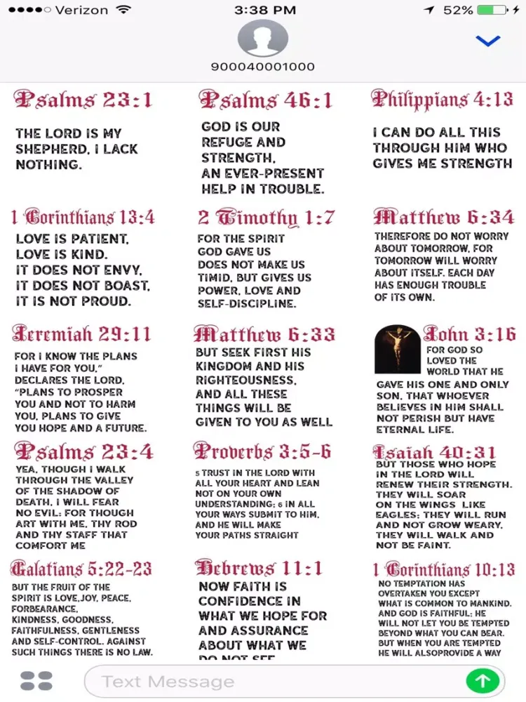 Tangkapan layar BiblePopularVerses iPad 