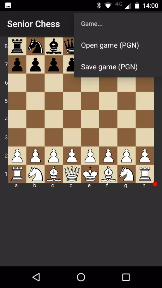 صور Senior Chess