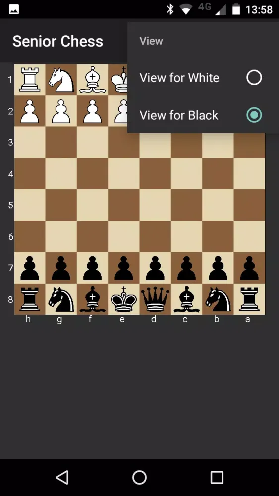 صور Senior Chess
