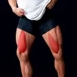 Leg Workouts for Men