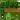 Floresta Verde