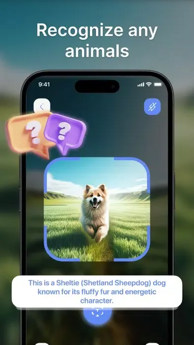 Lens Photo Scanner, Identifier Screenshots
